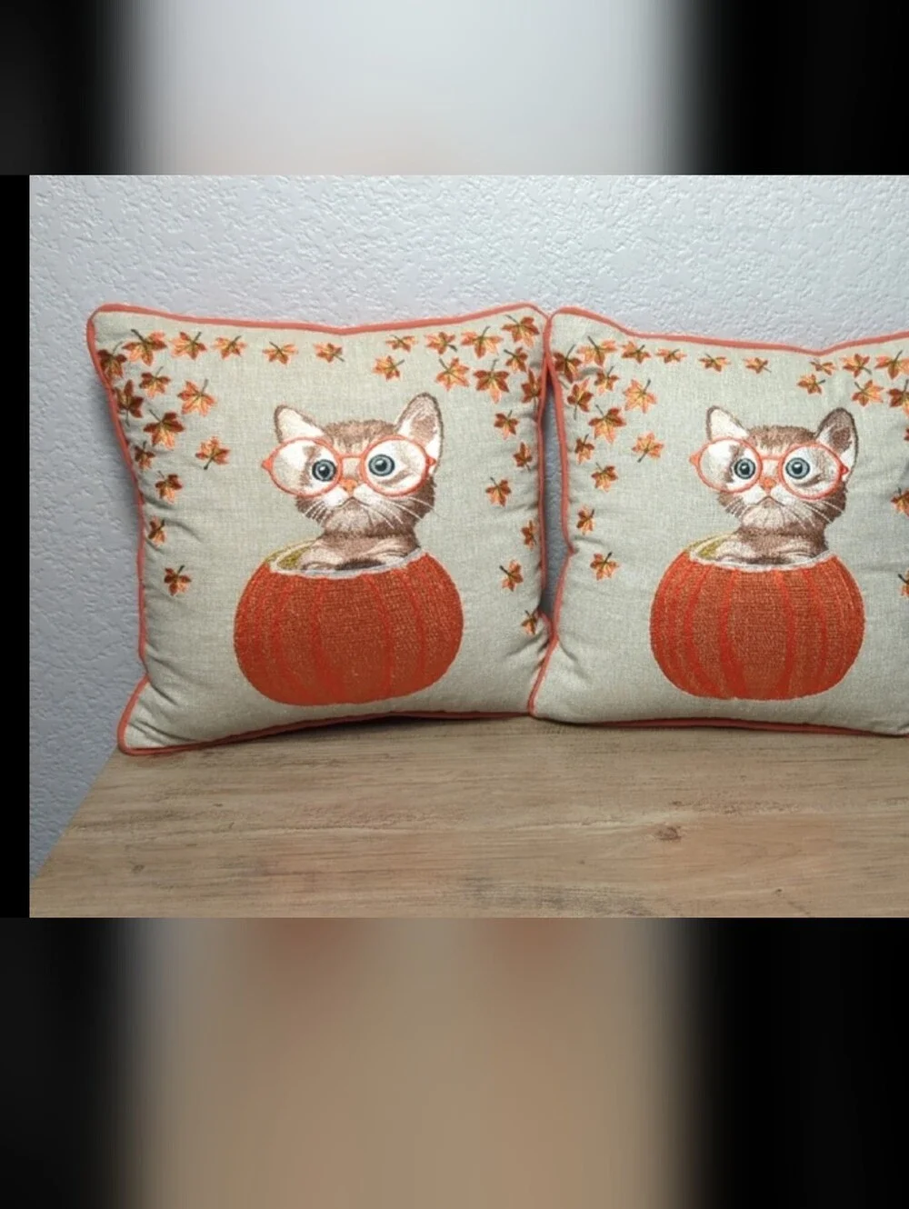 Pier 1 Imports Harvest Cat in Pumpkin Embroidered Throw Pillows - Set of 2